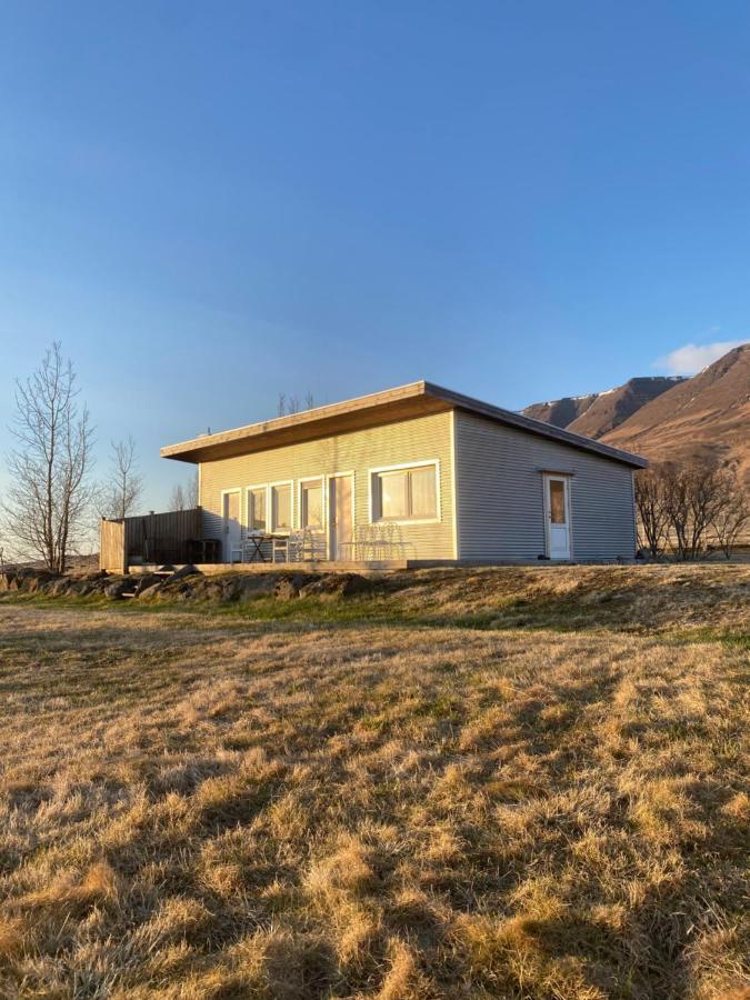 Flugumyri 2 Farm stay *